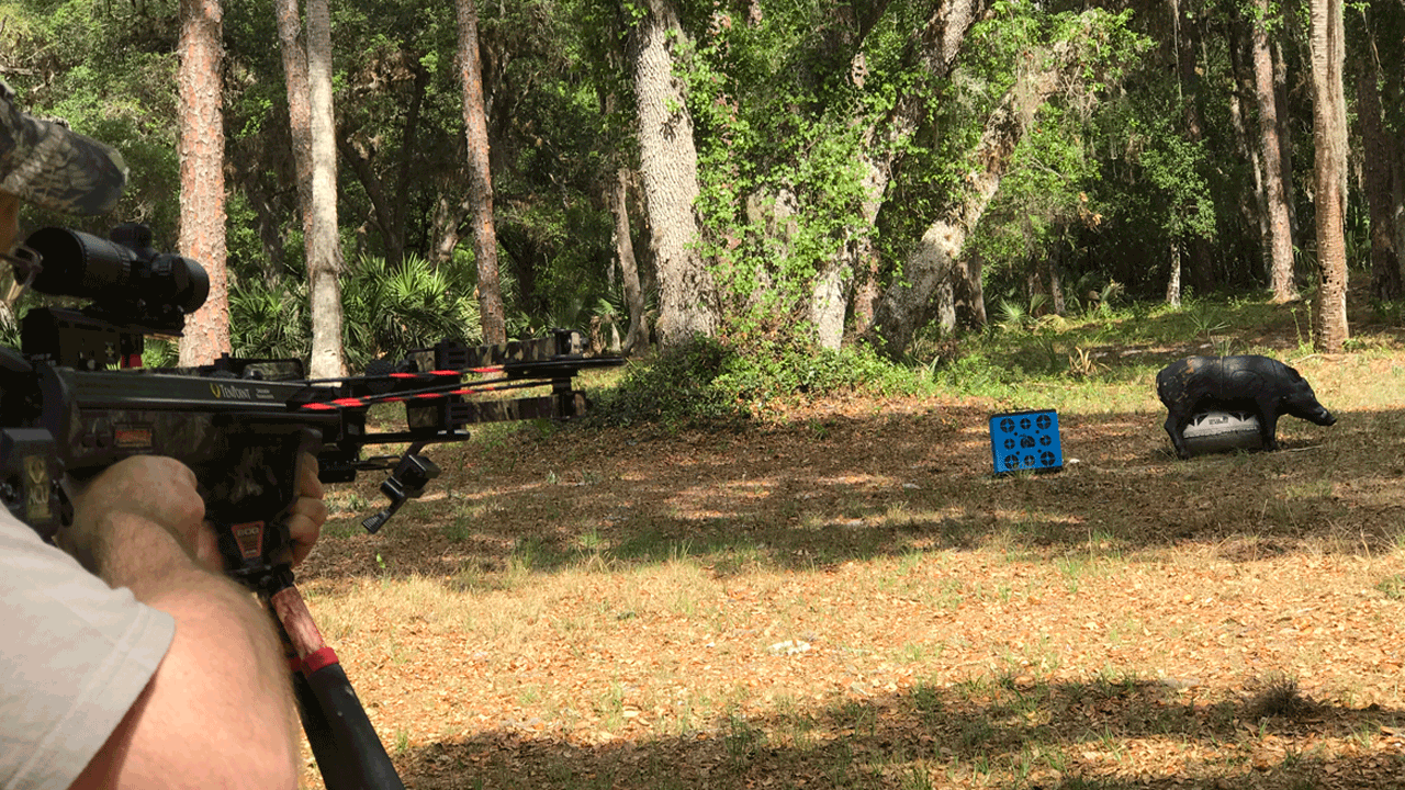crossbow practice