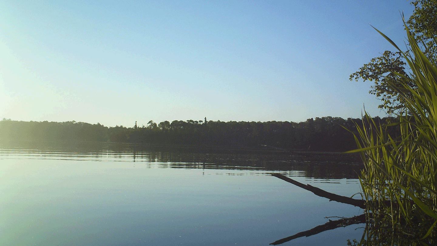 trail cam on lake