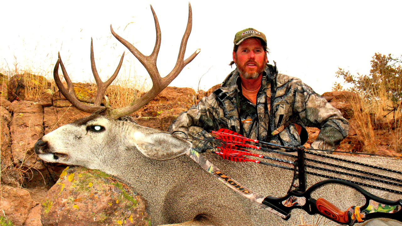 mule deer with recurve bow