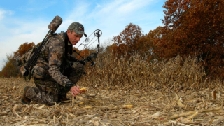 bowhunter in cornfield