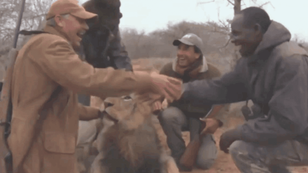 lion hunt