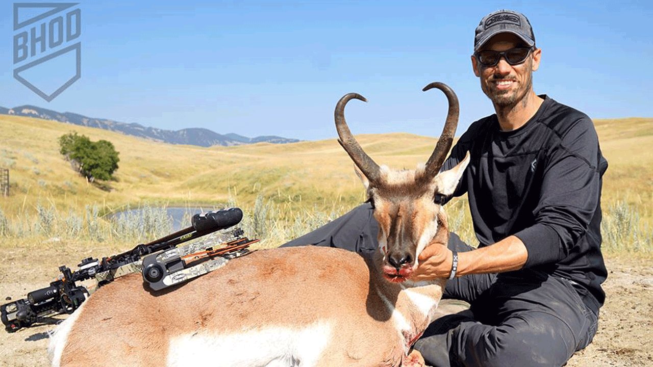 todd's antelope buck