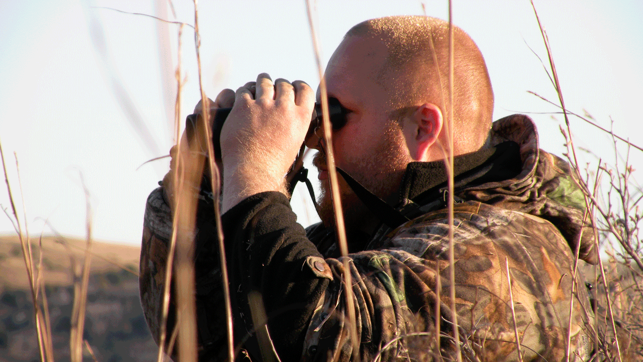 hunter-glassing