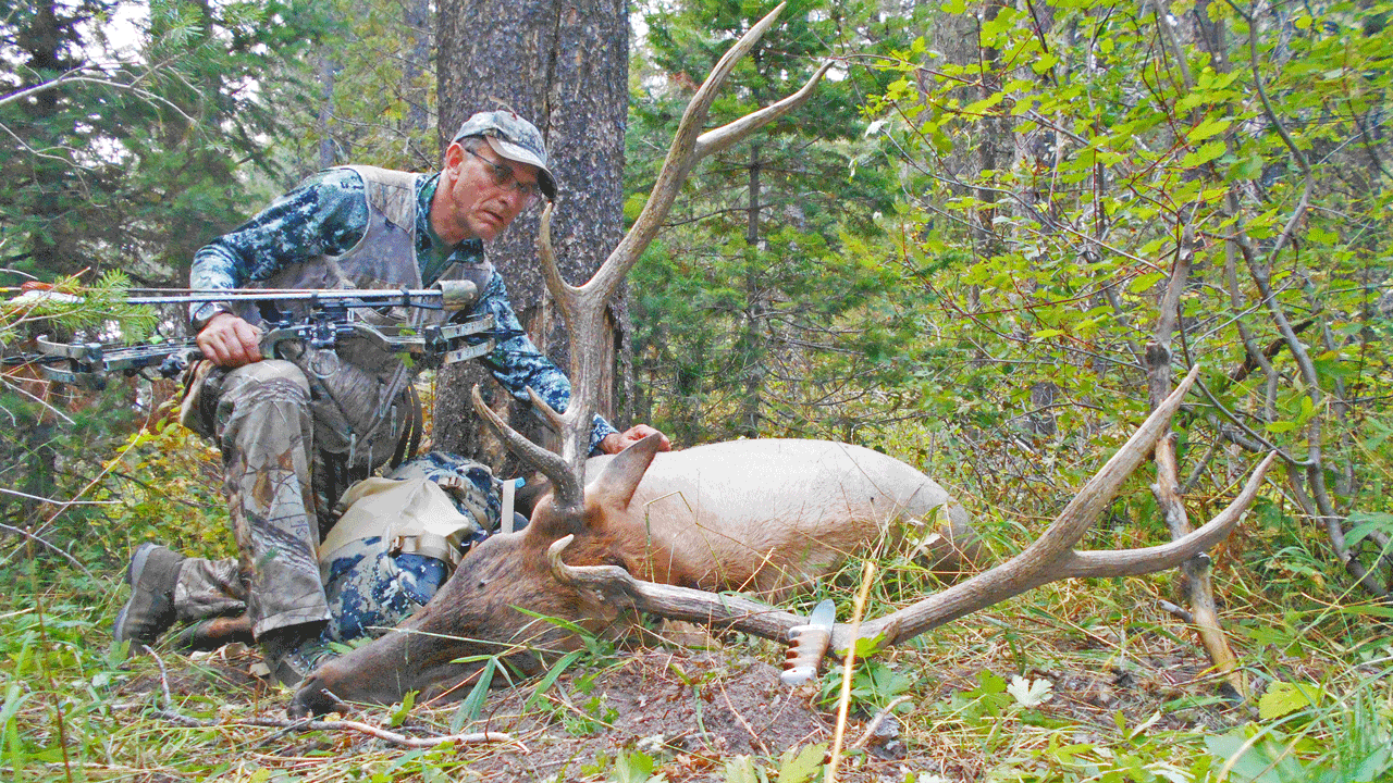 pat-durkin-bull-elk