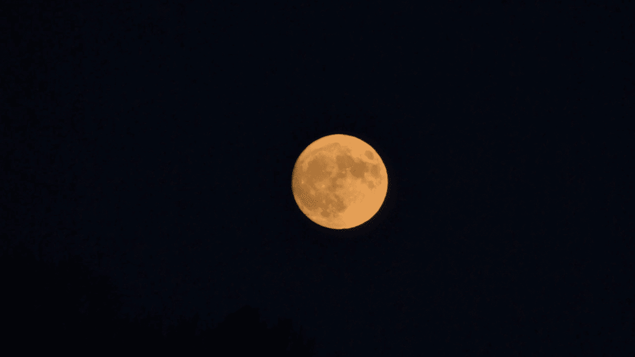 First-Full-Moon-in-November