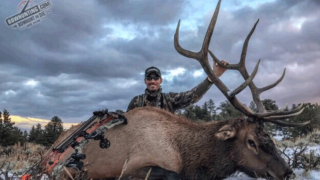todd-graf-wyoming-bull
