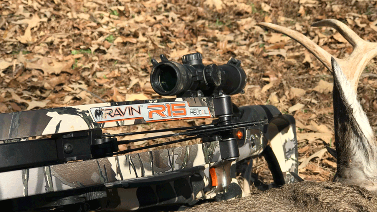 ravin -crossbow