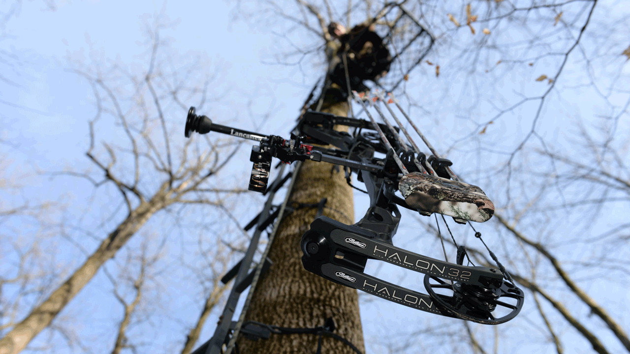 mathews-halon-32-with-quiver