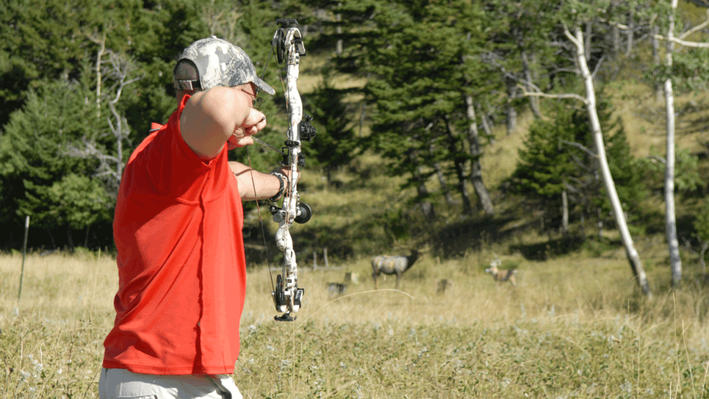hip quiver vs back quiver hip quiver vs back quiver