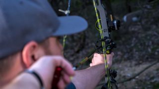 Archer shooting 3D target