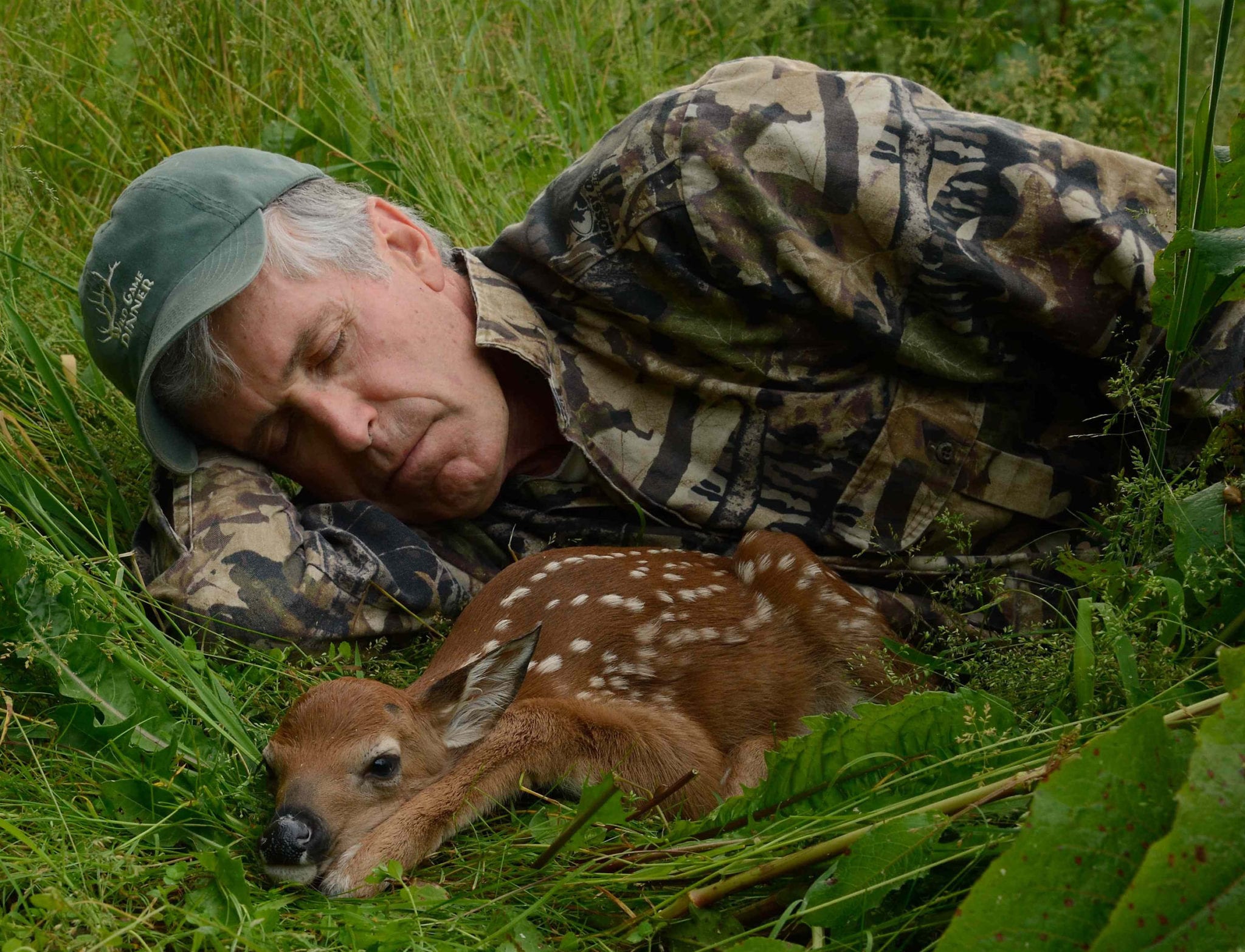 alsheimer-napping-with-fawn