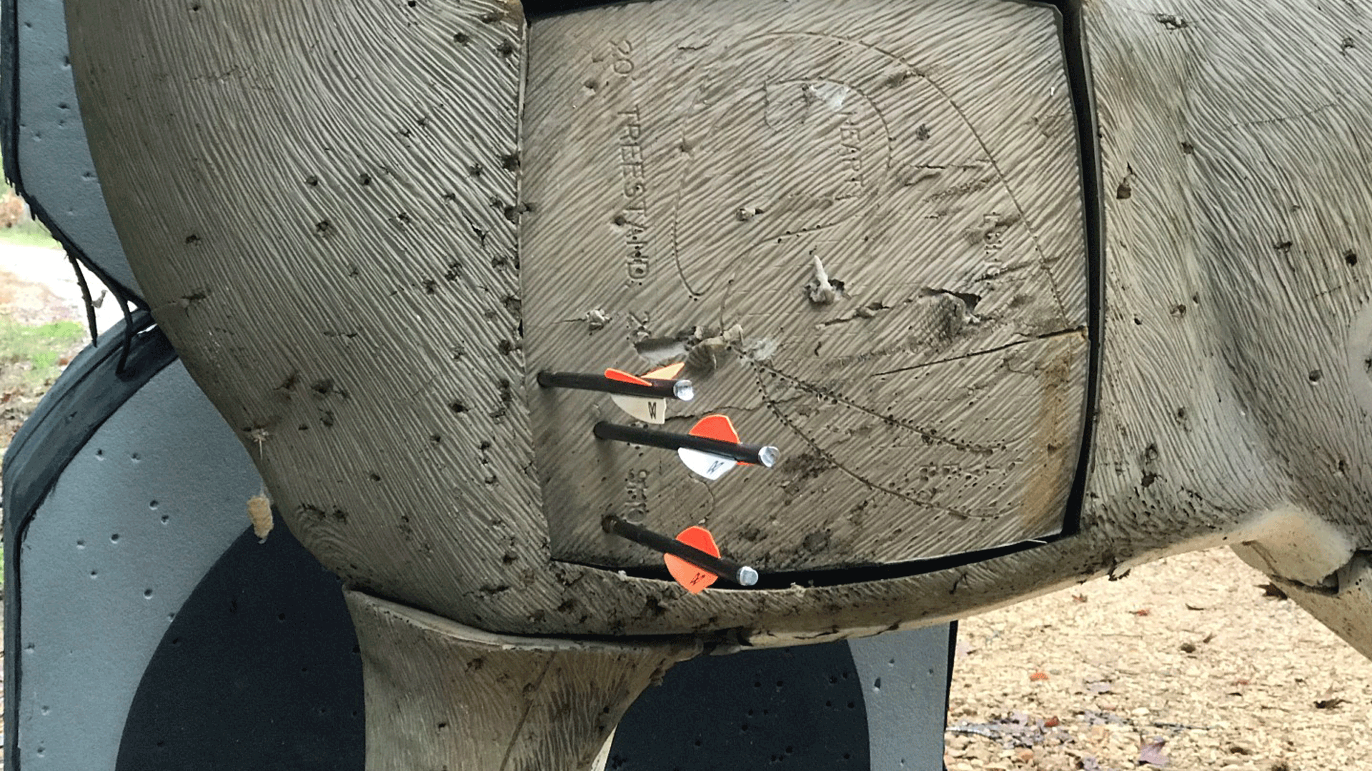 Arrows-in-target