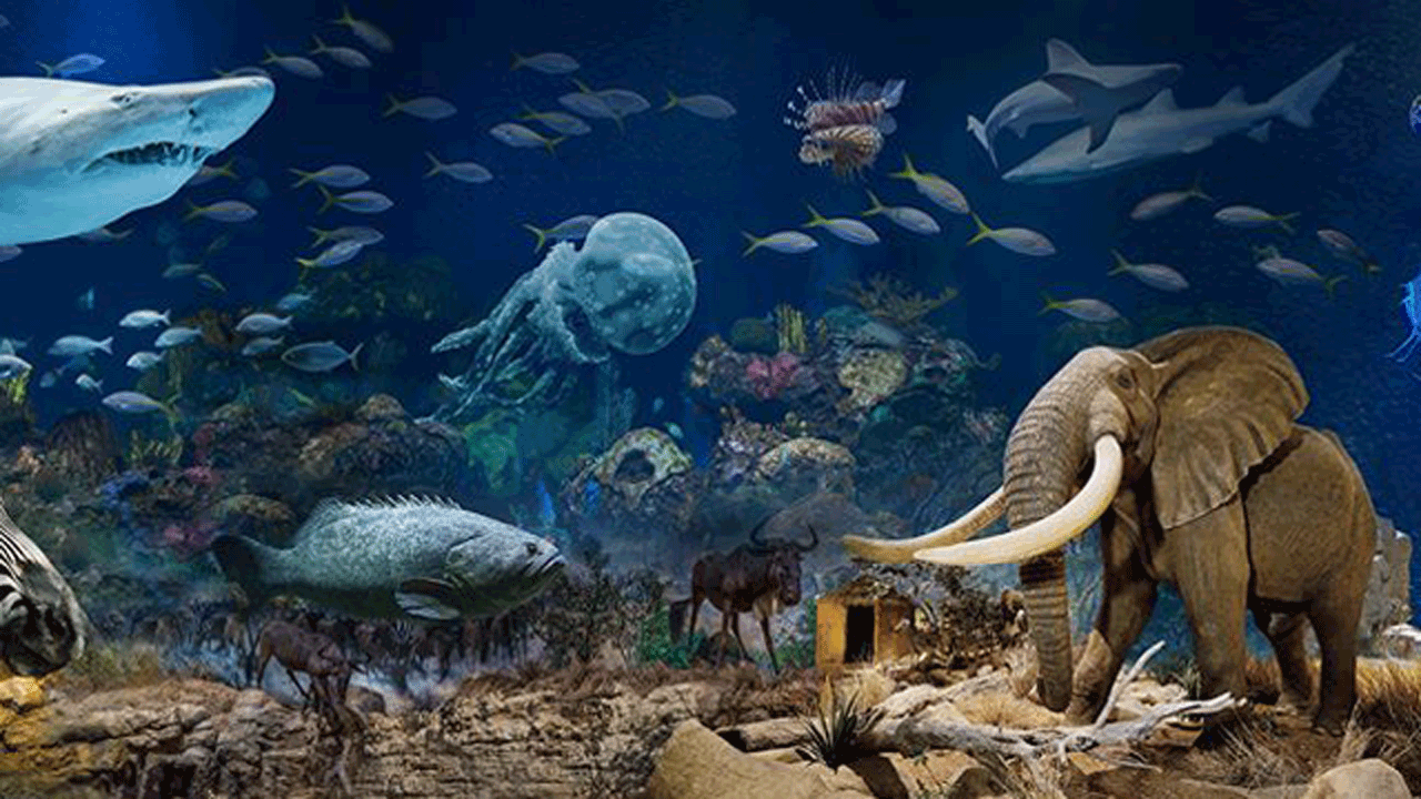 wonders-of-wildlife-aquarium