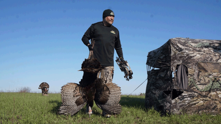 Best Food Plots for Turkeys