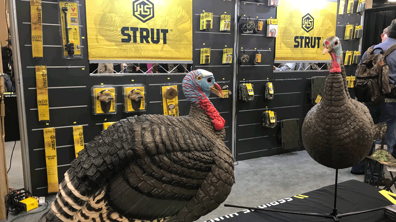 hs-decoys
