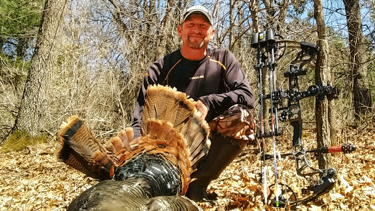 bowhunting turkeys in Wisconsin - Herrmann-Turkey