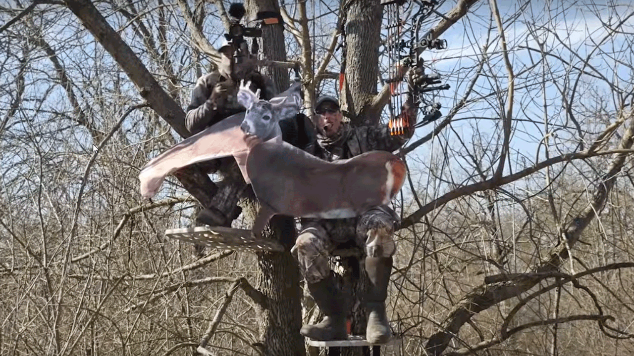 desperate bowhunters