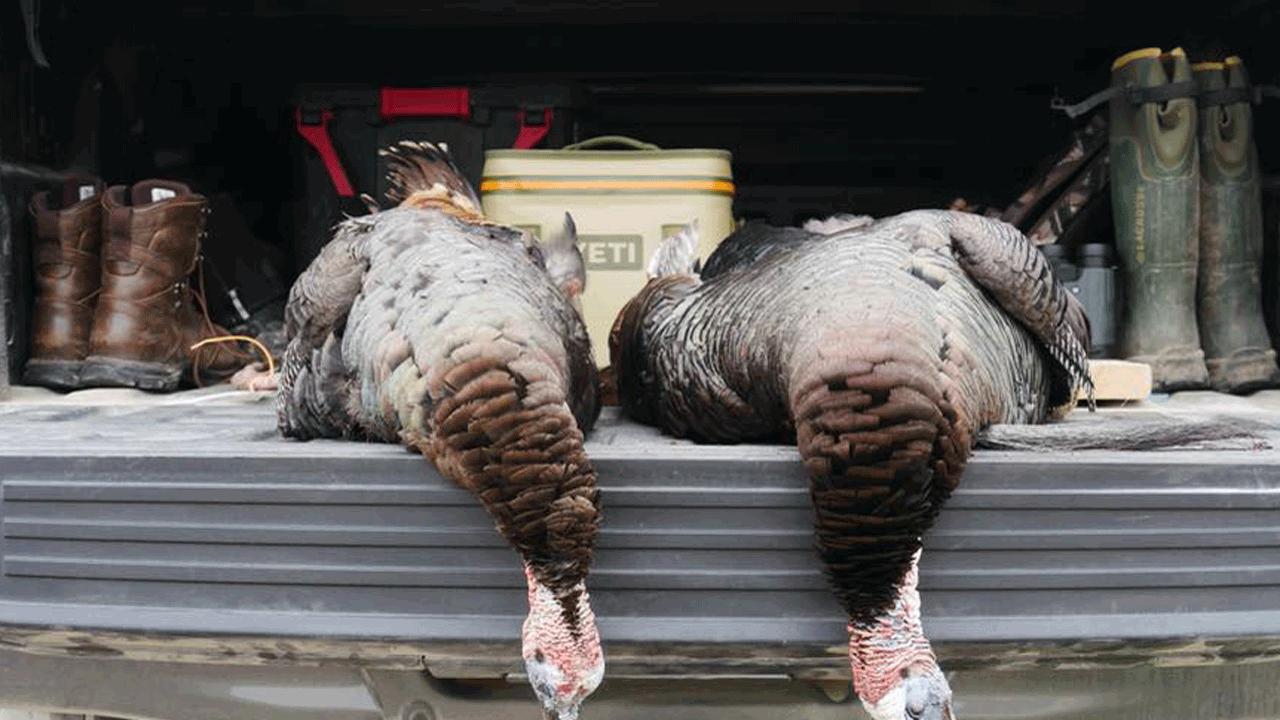 bowhunting kansas turkeys -double-in-kansas