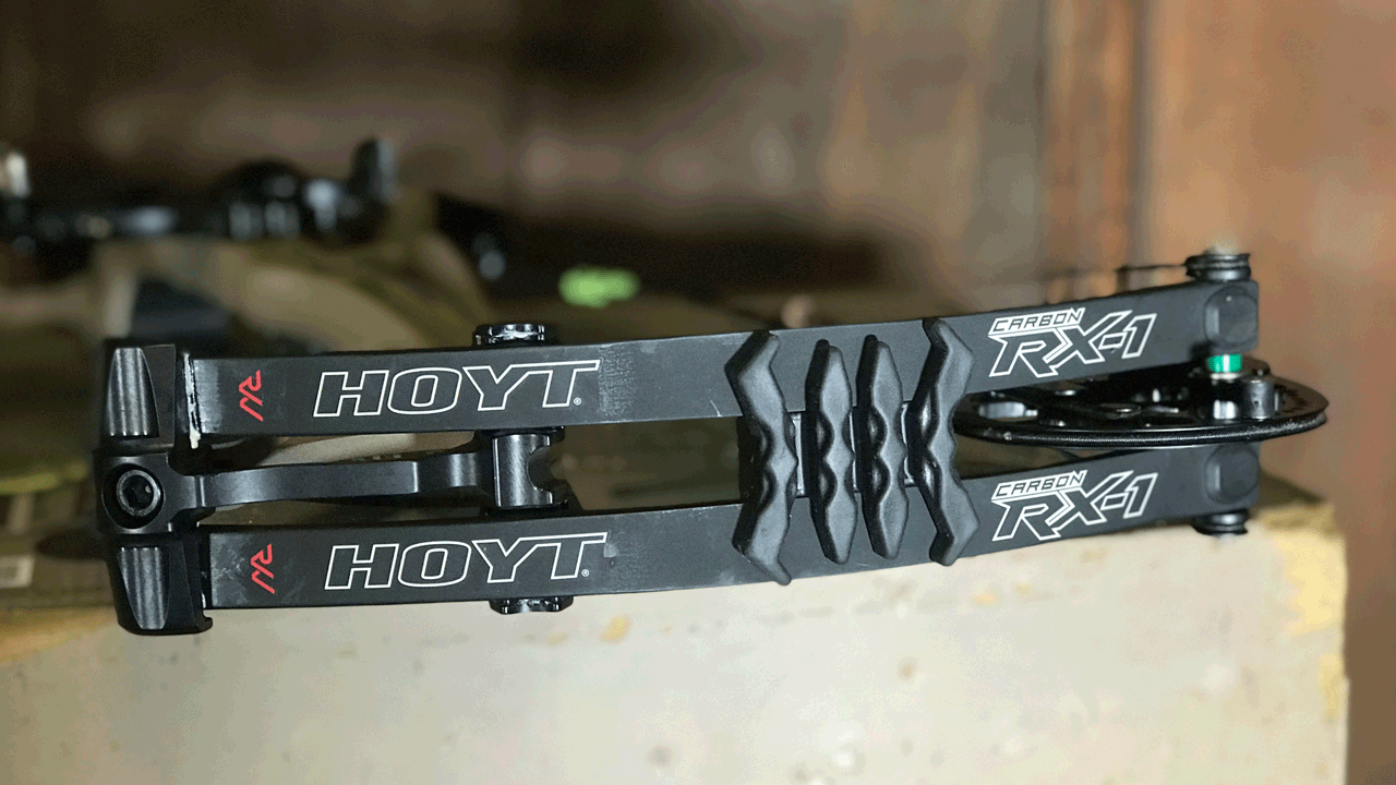 hoyt-carbon-rx1