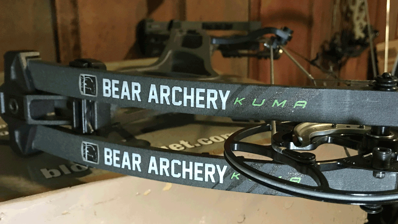 Bear Kuma Bow Review