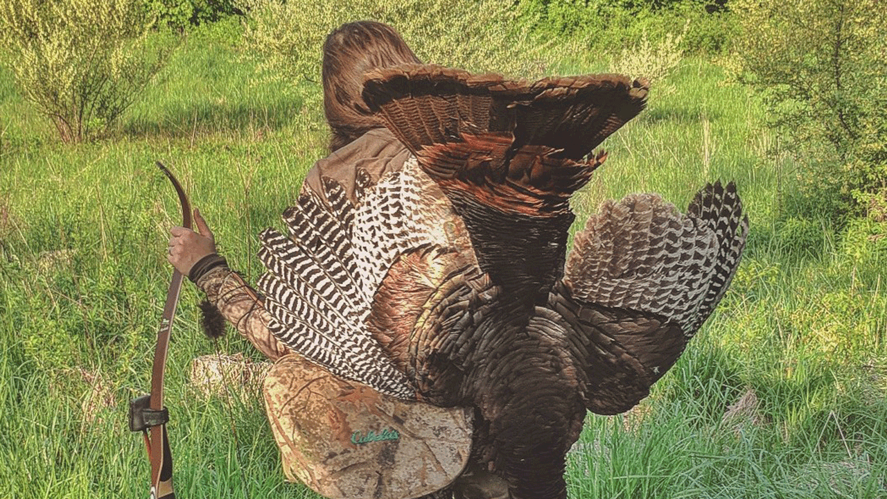 Turkey hunting - beka-walking-with-turkey