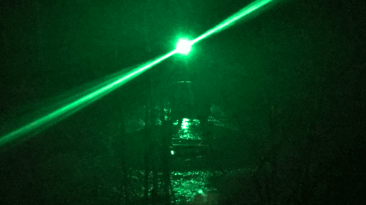 night hunting for hogs green-hog-light-dark