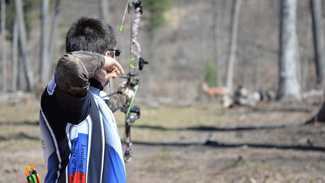 Back Tension Release for Hunting