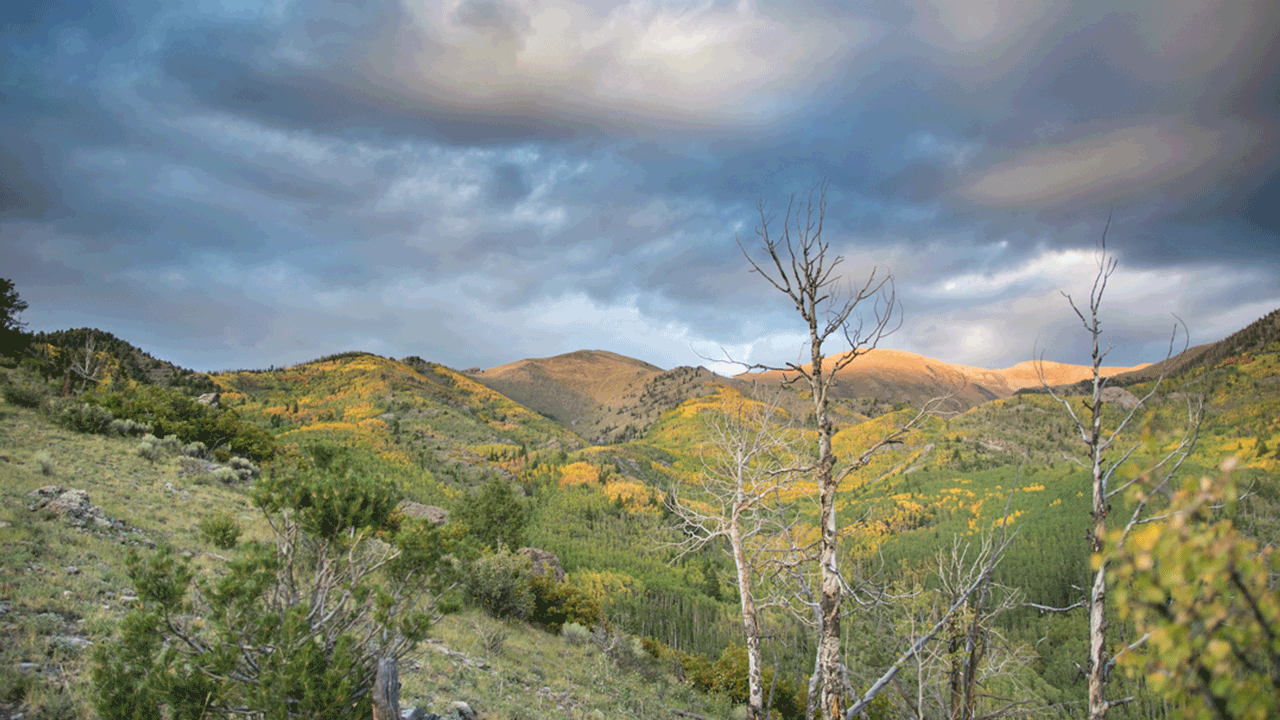 Colorado-landscape