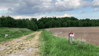posted-field
