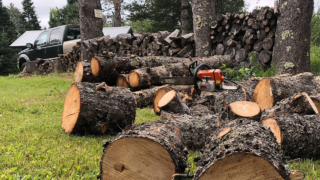 deer-camp-firewood