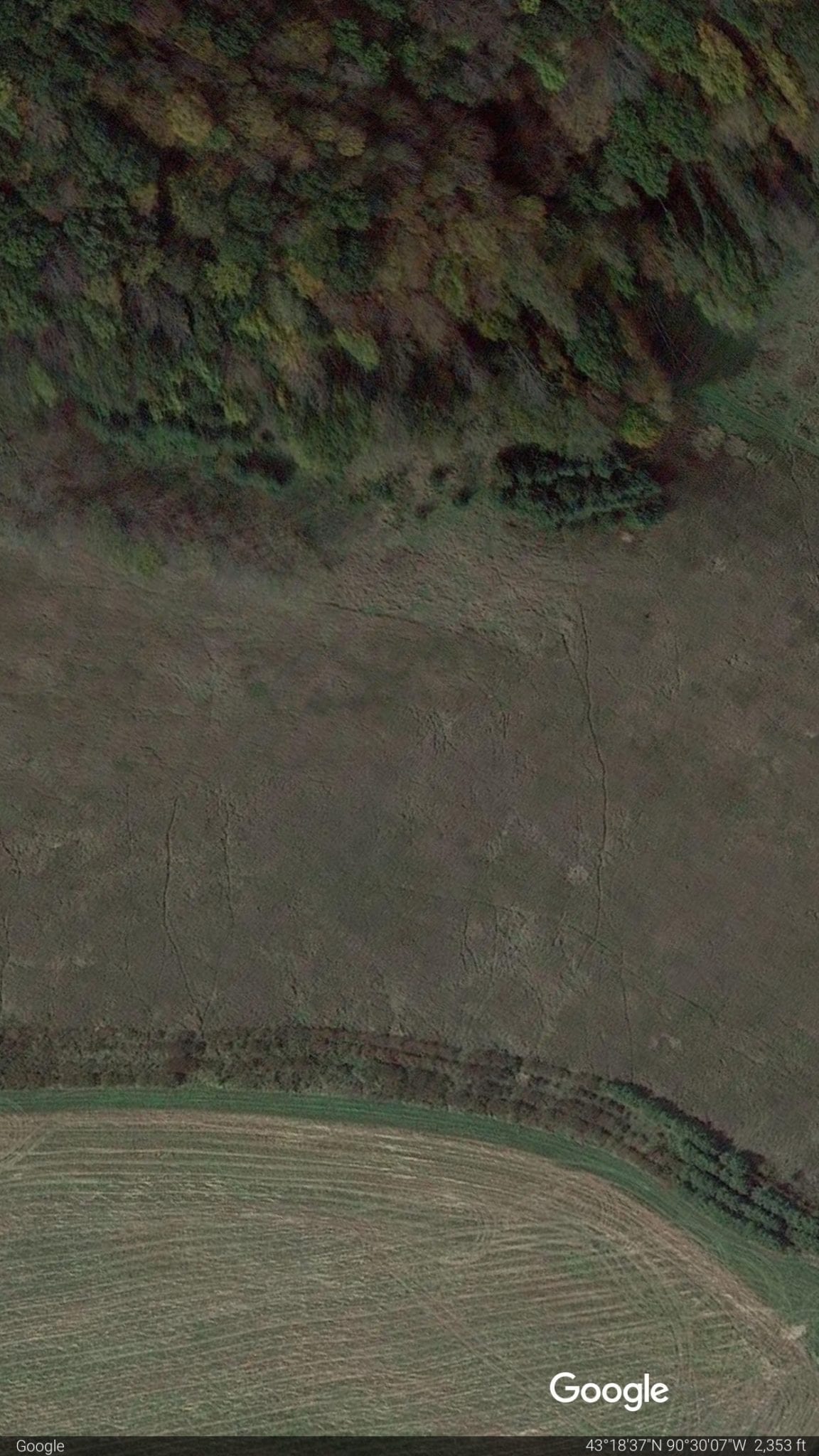 deer scouting with google earth - earth view of CRP trails