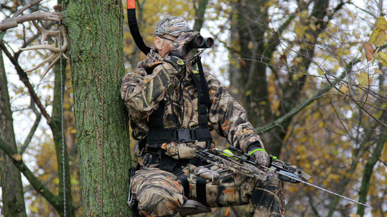 safety harness