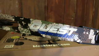 quest-limb