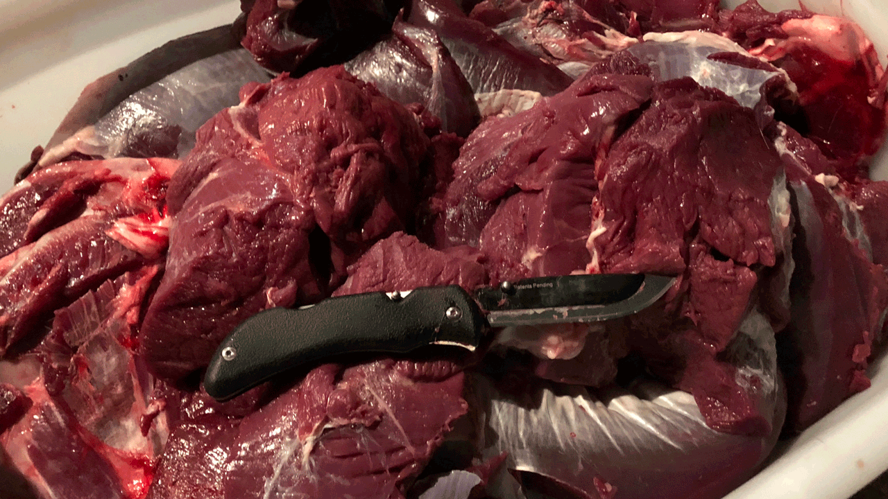 prepared to punch tags - bone-out-meat