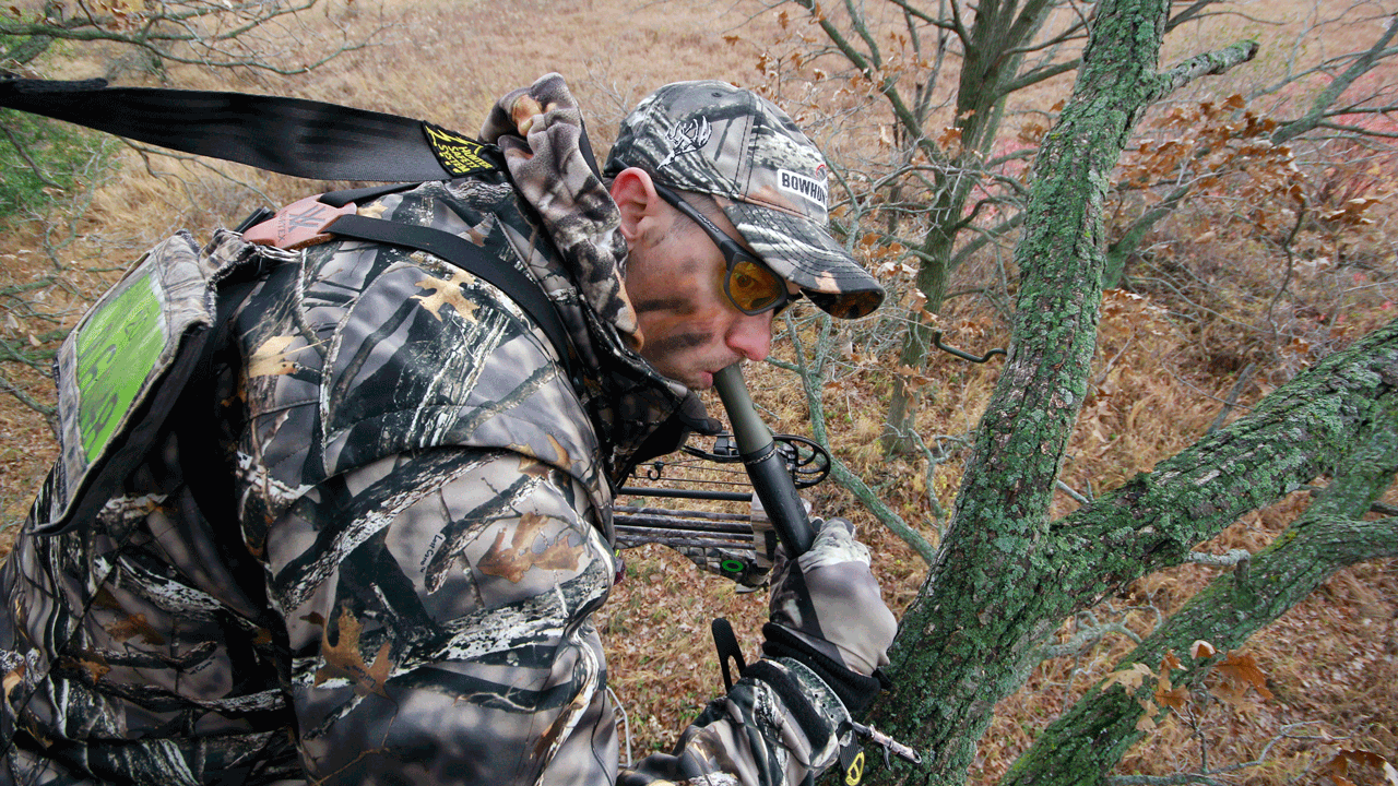 6 rut rules you should know hunter-grunting