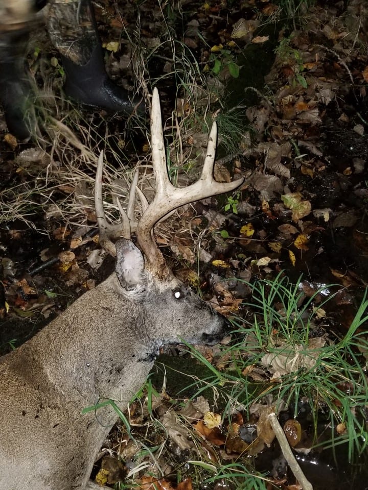 Buck other guy claimed