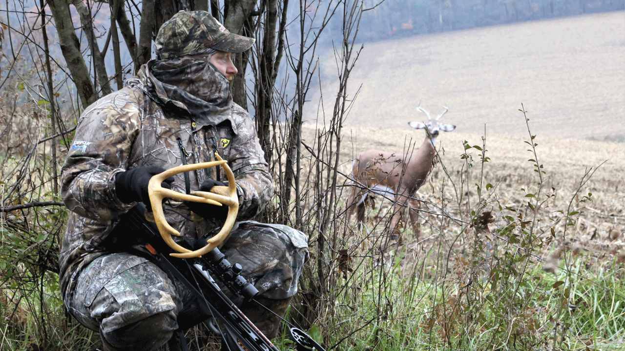 how to position your deer decoy