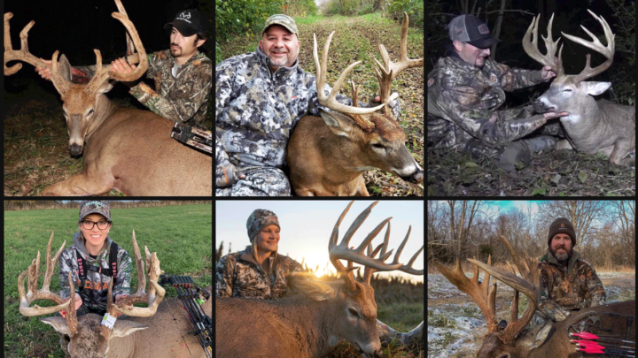 big-buck-roundup-feature