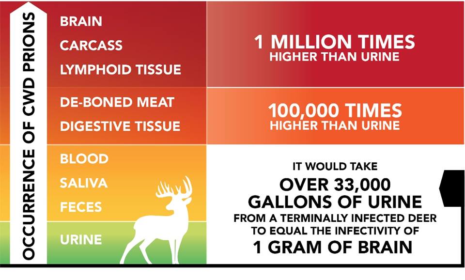 CWD-facts-Tinks