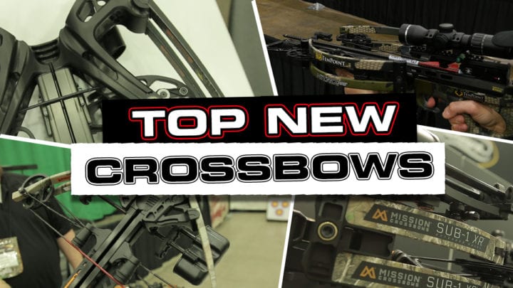 Top New Crossbows for 2019