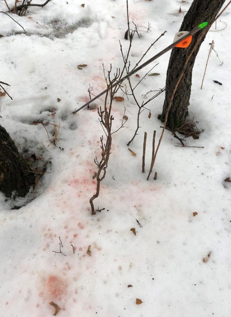 IS HUNT OVER WHEN A DOE BLOWS visual data 6