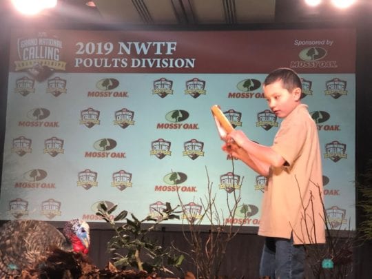 poults-champion (Custom)