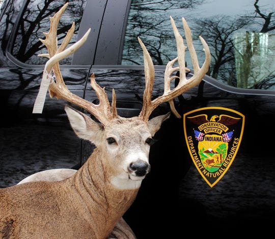 Indiana Man Illegally Kills 200" Buck
