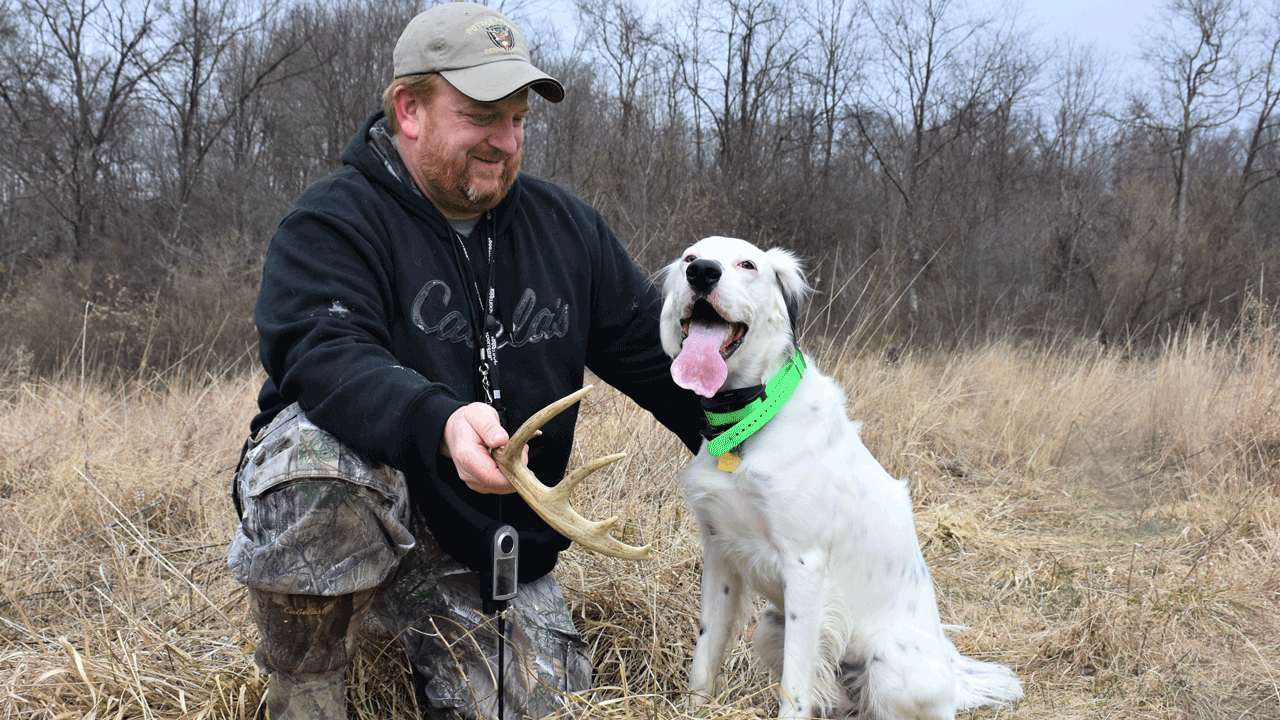 hunting dogs that shed the least