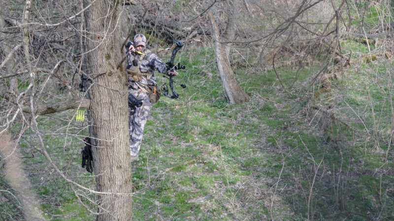 Tree Saddle Hunting: Is It The Next Big Thing For Mobile Hunters?