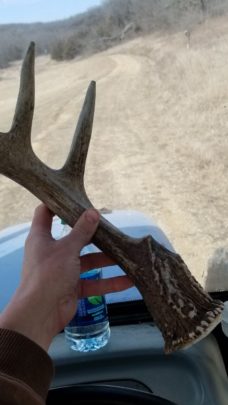 mass buck 2