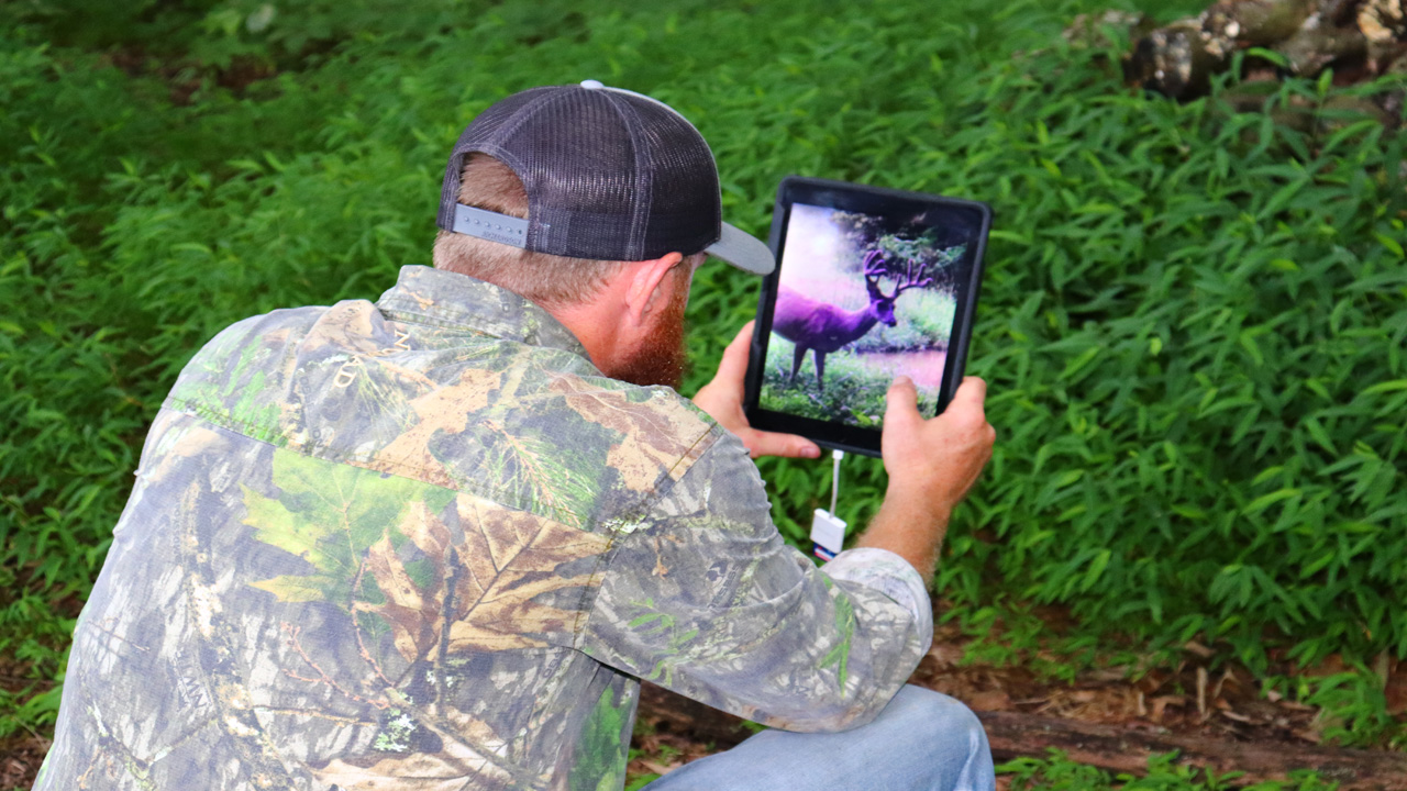 trail camera mistakes we make TrailCameraArticle4