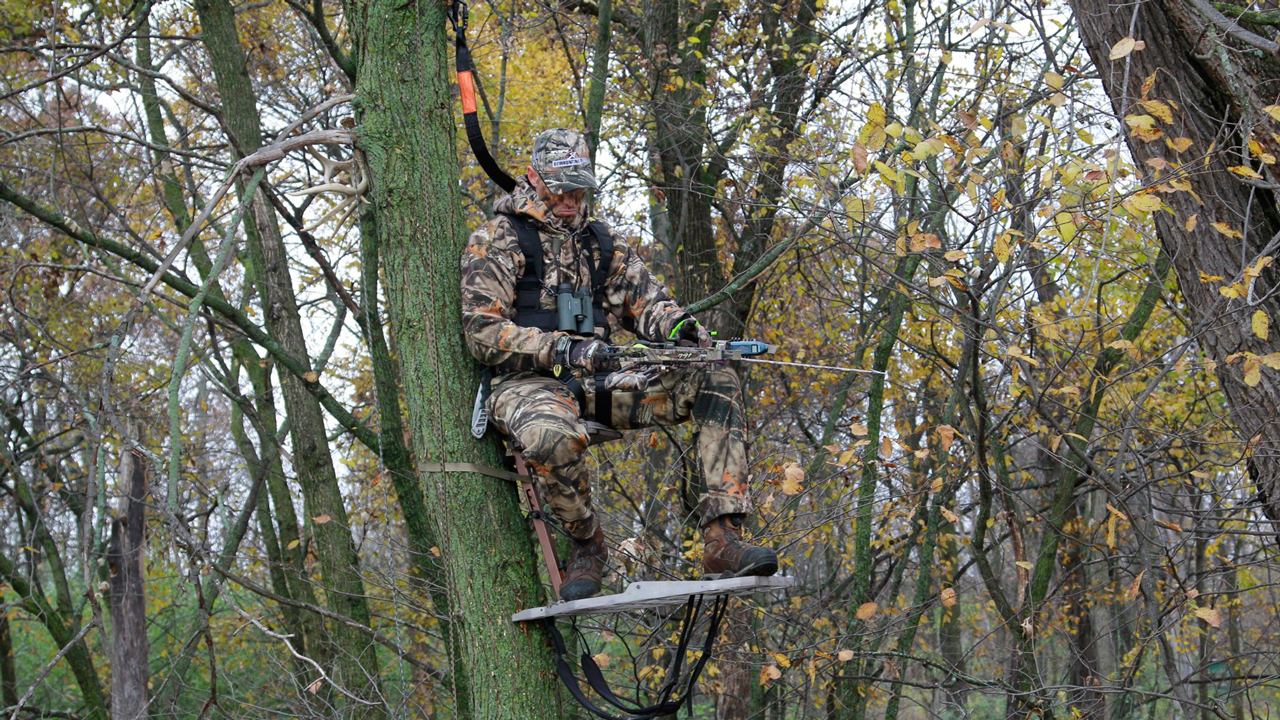 hunter-in-treestand