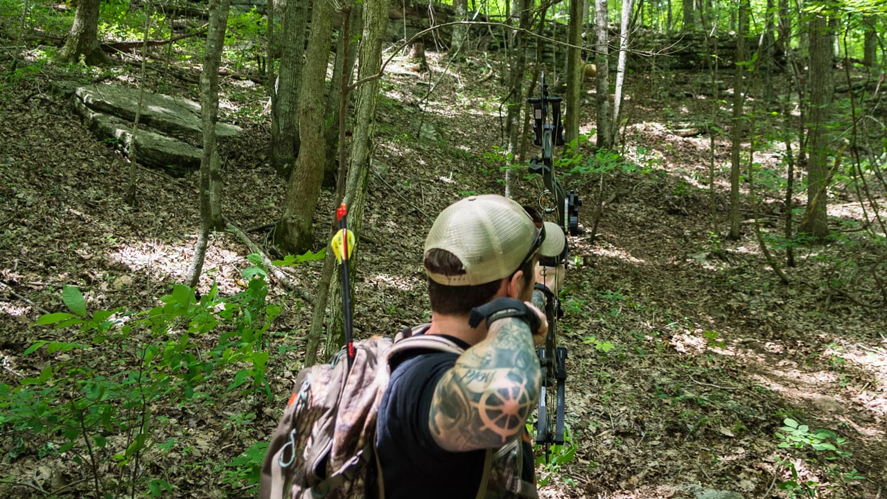 mistakes rookie elk hunters make - 3d shoot
