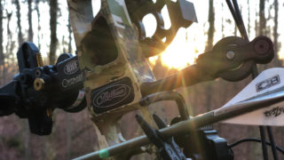 mathews-in-sun